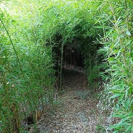 Gite Le Clos Des Boucs Apartamento *