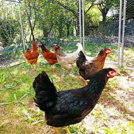 Apartamento Gite Le Clos Des Boucs Les Mages